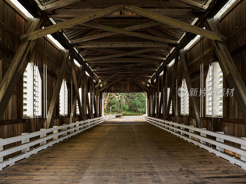 Dorena Covered Bridge Interior Lane县俄勒冈州